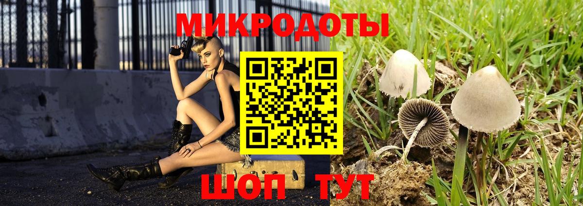 Галлюциногенные грибы GOLDEN TEACHER Югорск